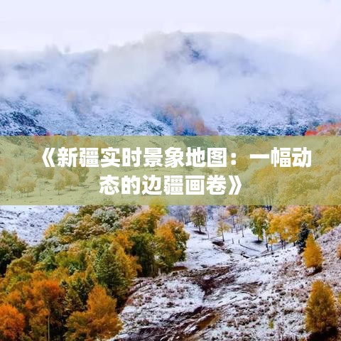 《新疆实时景象地图：一幅动态的边疆画卷》
