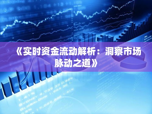 《实时资金流动解析：洞察市场脉动之道》