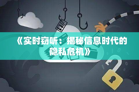 《实时窃听：揭秘信息时代的隐私危机》