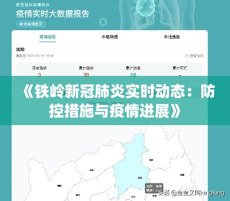 《铁岭新冠肺炎实时动态：防控措施与疫情进展》