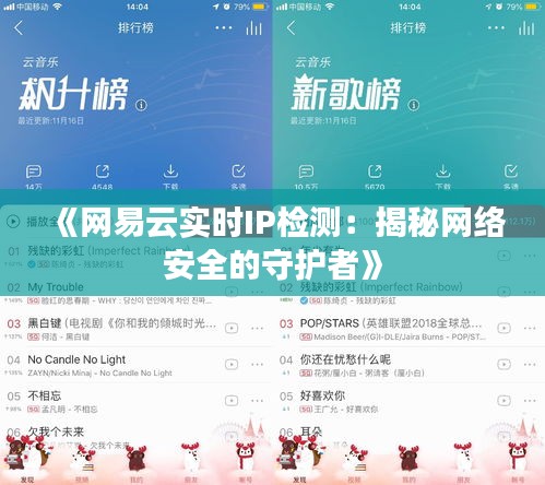 《网易云实时IP检测：揭秘网络安全的守护者》