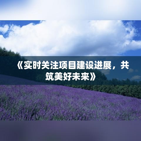 《实时关注项目建设进展，共筑美好未来》