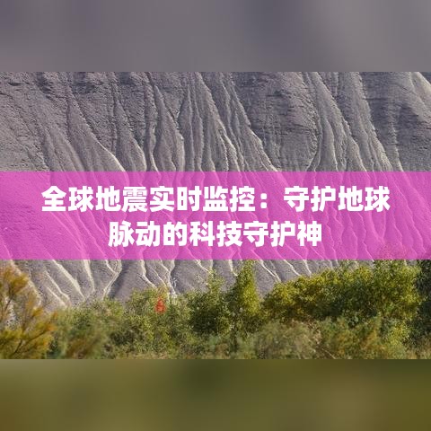 全球地震实时监控：守护地球脉动的科技守护神