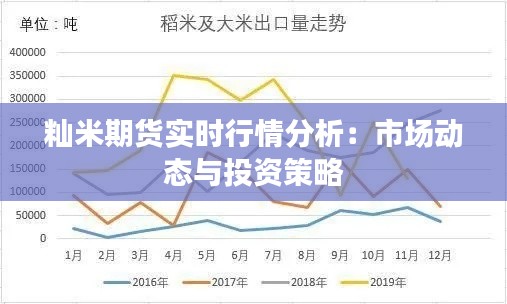 籼米期货实时行情分析：市场动态与投资策略