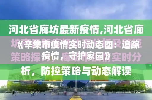 《辛集市疫情实时动态图：追踪疫情，守护家园》