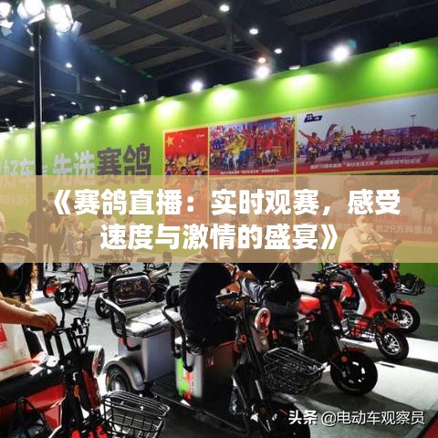 《赛鸽直播：实时观赛，感受速度与激情的盛宴》
