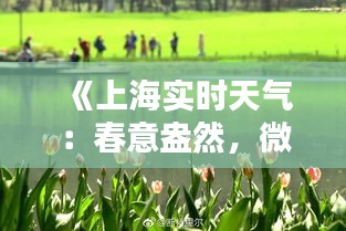 《上海实时天气：春意盎然，微风拂面》
