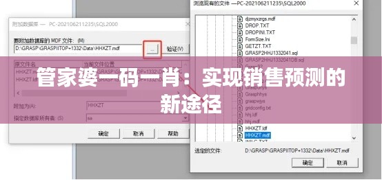 管家婆一码一肖：实现销售预测的新途径