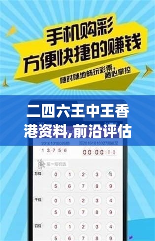 二四六王中王香港资料,前沿评估说明_优选版3.649