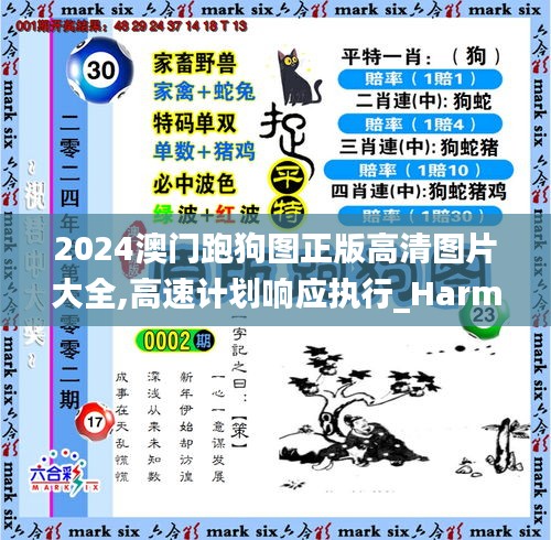 2024澳门跑狗图正版高清图片大全,高速计划响应执行_Harmony7.203