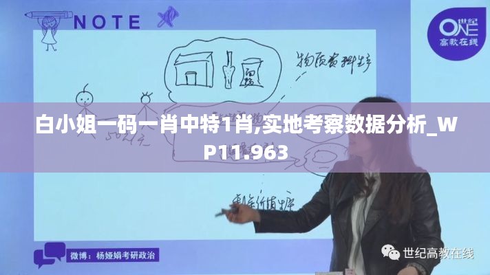 白小姐一码一肖中特1肖,实地考察数据分析_WP11.963