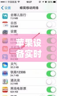 苹果设备实时流量查看攻略：轻松掌握网络使用情况