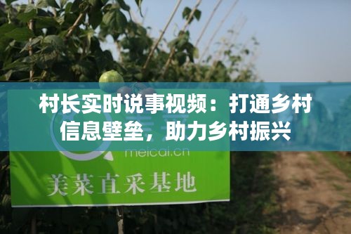 村长实时说事视频：打通乡村信息壁垒，助力乡村振兴