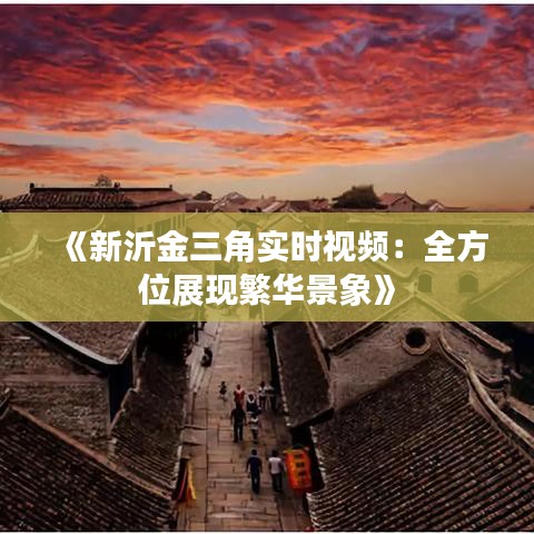 《新沂金三角实时视频：全方位展现繁华景象》