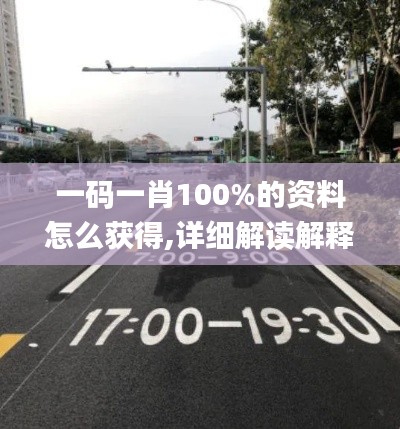一码一肖100%的资料怎么获得,详细解读解释落实_精装款1.536