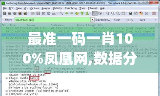 最准一码一肖100%凤凰网,数据分析说明_移动版10.653