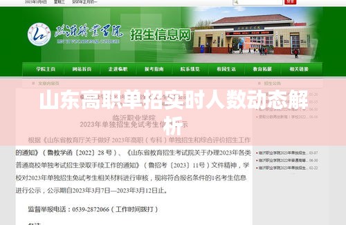 山东高职单招实时人数动态解析