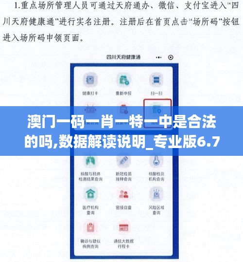 澳门一码一肖一特一中是合法的吗,数据解读说明_专业版6.771