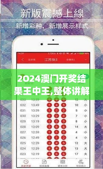 2O24澳门开奖结果王中王,整体讲解执行_XE版4.358