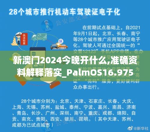 新澳门2024今晚开什么,准确资料解释落实_PalmOS16.975