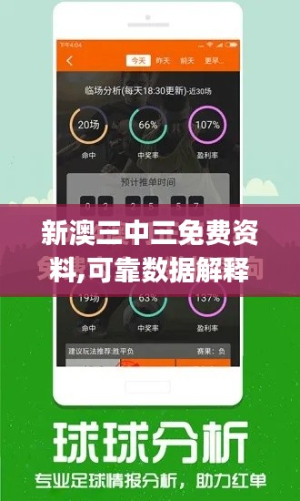 新澳三中三免费资料,可靠数据解释定义_超值版110.427