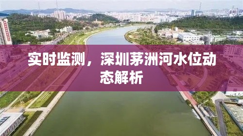 实时监测，深圳茅洲河水位动态解析