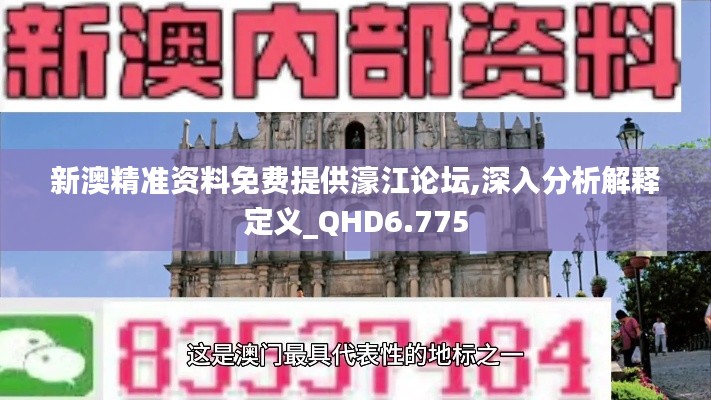 新澳精准资料免费提供濠江论坛,深入分析解释定义_QHD6.775