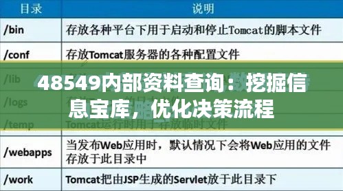48549内部资料查询：挖掘信息宝库，优化决策流程