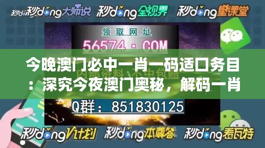 今晚澳门必中一肖一码适囗务目：深究今夜澳门奥秘，解码一肖一码中的长久魅力