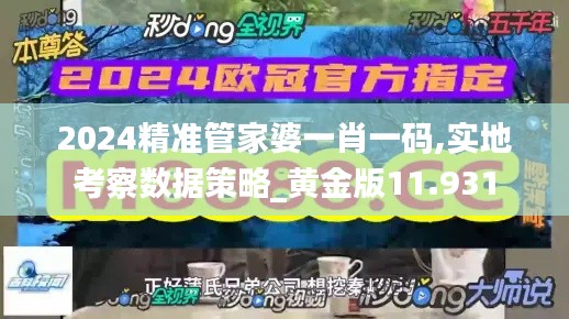 2024精准管家婆一肖一码,实地考察数据策略_黄金版11.931