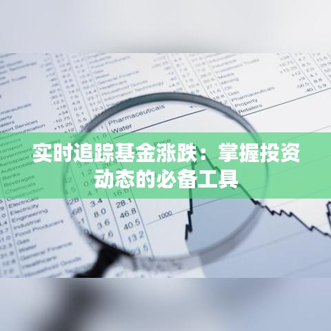 实时追踪基金涨跌：掌握投资动态的必备工具
