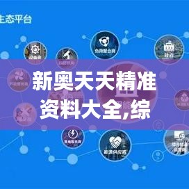 新奥天天精准资料大全,综合计划定义评估_旗舰款5.264