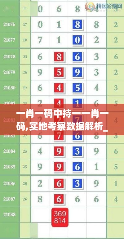 一肖一码中持一一肖一码,实地考察数据解析_限量款3.189