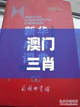 澳门三肖三码精准100%新华字典350期,效率资料解释落实_W2.703