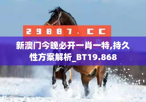 新澳门今晚必开一肖一特,持久性方案解析_BT19.868