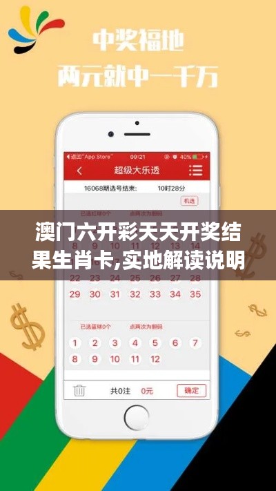 澳门六开彩天天开奖结果生肖卡,实地解读说明_桌面款13.147