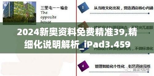 2024新奥资料免费精准39,精细化说明解析_iPad3.459