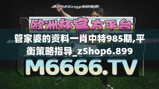 管家婆的资料一肖中特985期,平衡策略指导_zShop6.899