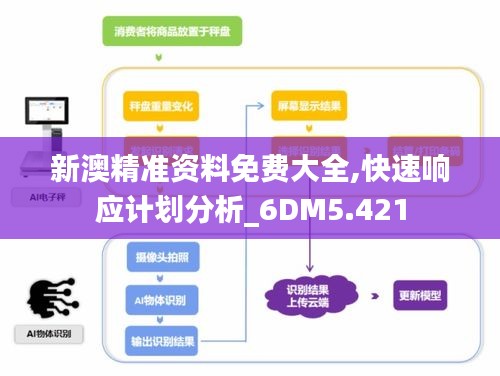 新澳精准资料免费大全,快速响应计划分析_6DM5.421