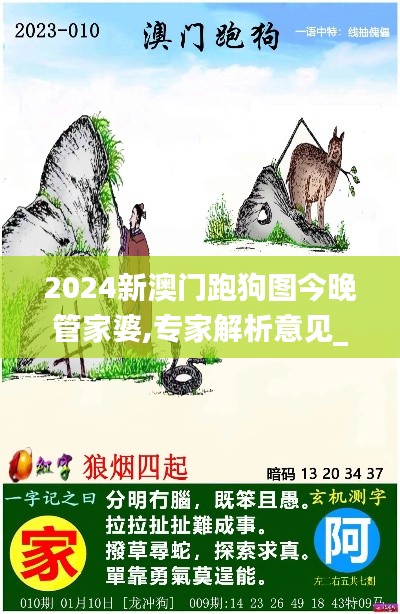 2024新澳门跑狗图今晚管家婆,专家解析意见_GT8.525