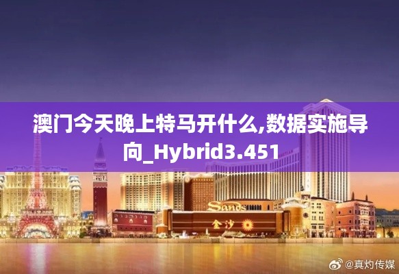 澳门今天晚上特马开什么,数据实施导向_Hybrid3.451