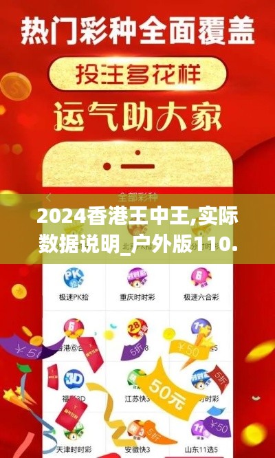 2024香港王中王,实际数据说明_户外版110.313