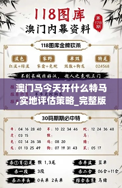 澳门马今天开什么特马,实地评估策略_完整版4.347