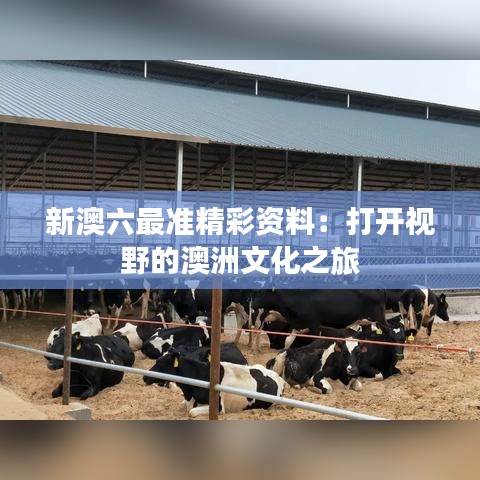新澳六最准精彩资料：打开视野的澳洲文化之旅