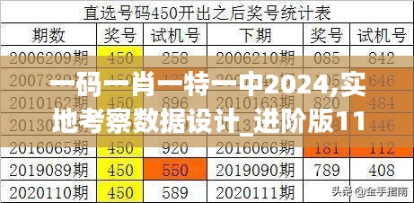 一码一肖一特一中2024,实地考察数据设计_进阶版110.337