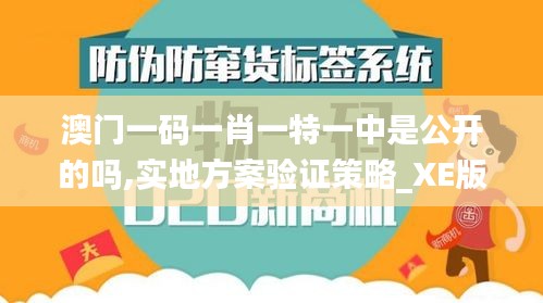 澳门一码一肖一特一中是公开的吗,实地方案验证策略_XE版3.762