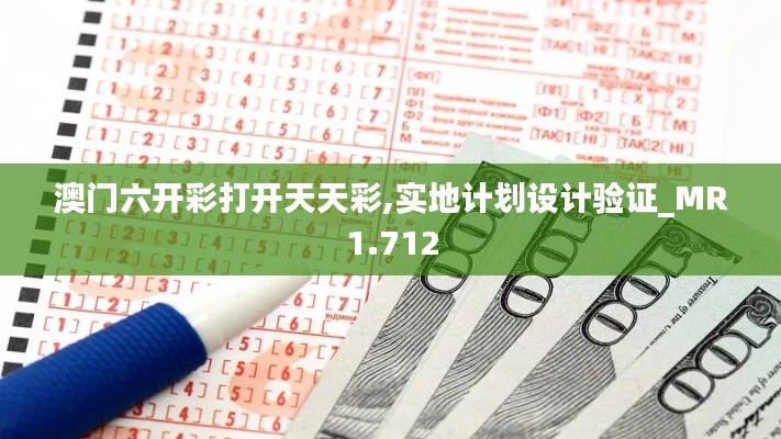 澳门六开彩打开天天彩,实地计划设计验证_MR1.712
