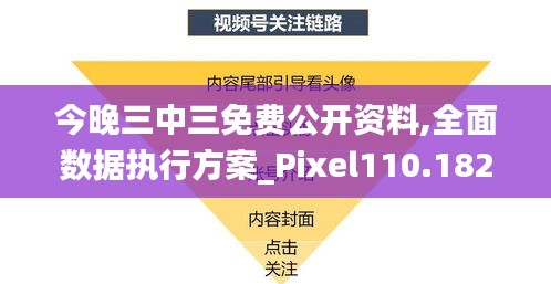 今晚三中三免费公开资料,全面数据执行方案_Pixel110.182