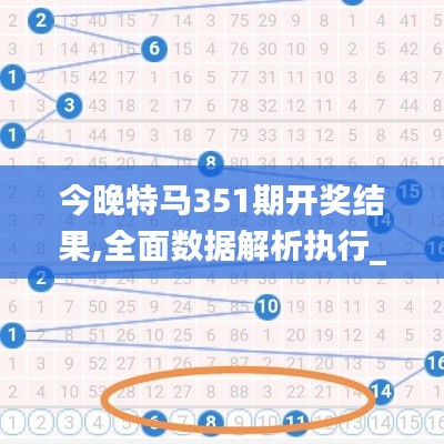 今晚特马351期开奖结果,全面数据解析执行_T1.913