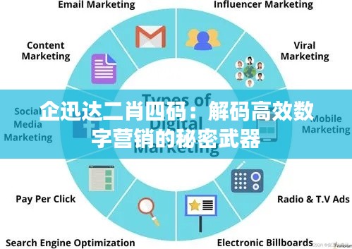 企迅达二肖四码：解码高效数字营销的秘密武器